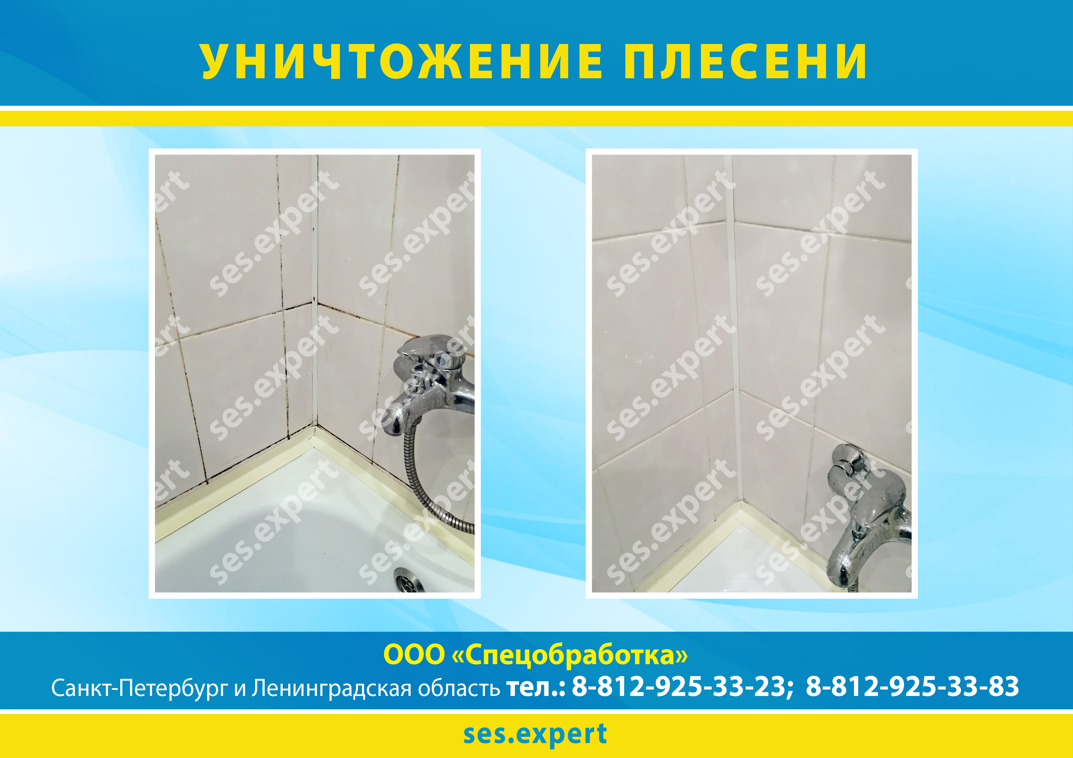 Уничтожение плесени на швах кафельной плитки в СПб
